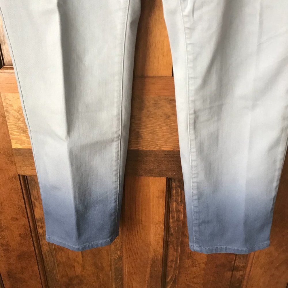 J. Jill Blue w/Ombre Leg Authentic Fit Slim Ankle Jeans Size 18 - Picture 3 of 14
